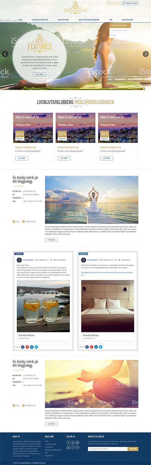 Web Design by RupalTechno for Ventureplant AB | Design #12735386