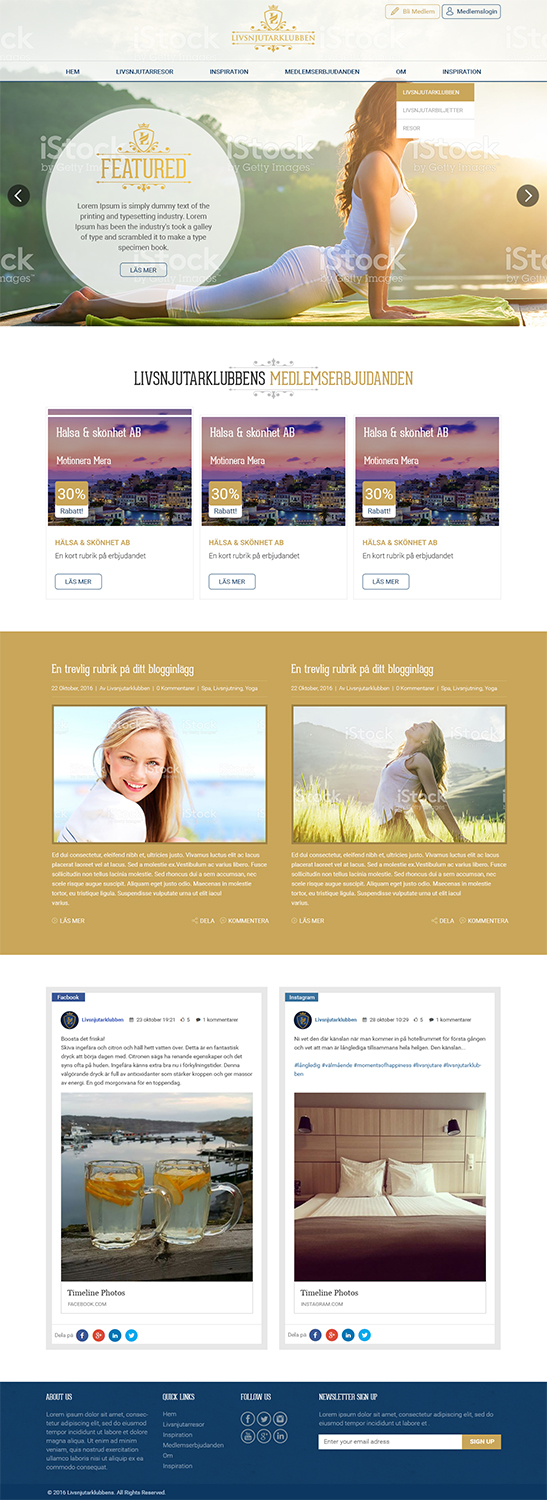 Web Design by RupalTechno for Ventureplant AB | Design #12735391