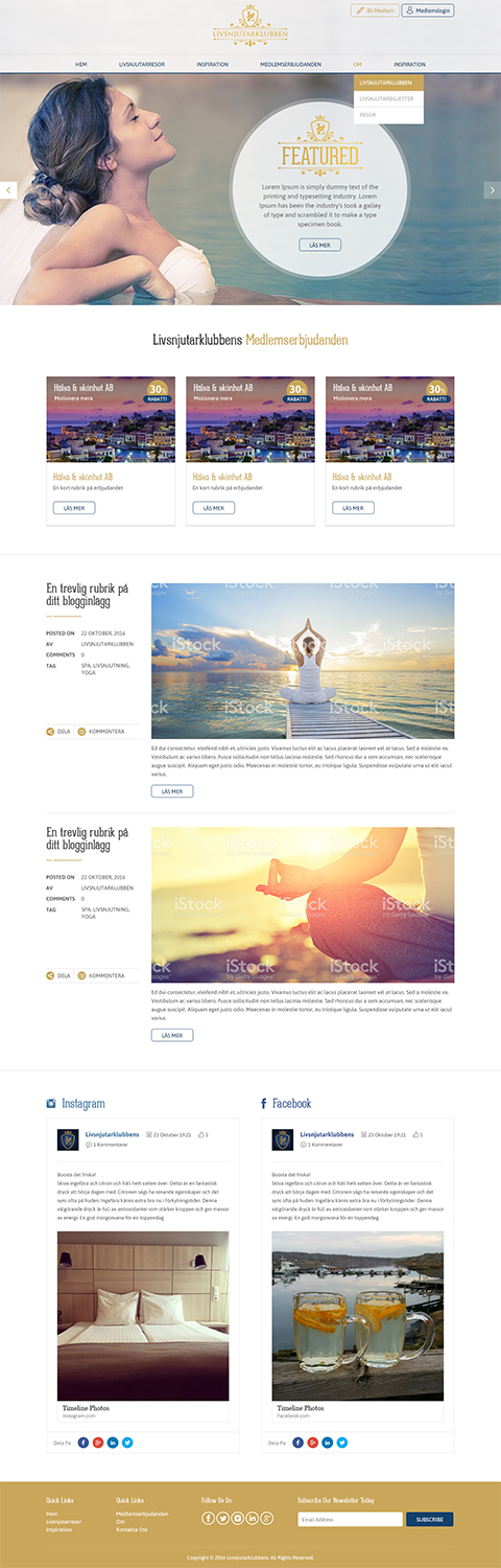 Web Design by RupalTechno for Ventureplant AB | Design #12735589