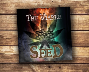 CD Cover Design by Wally_F for this project | Design: #12630811