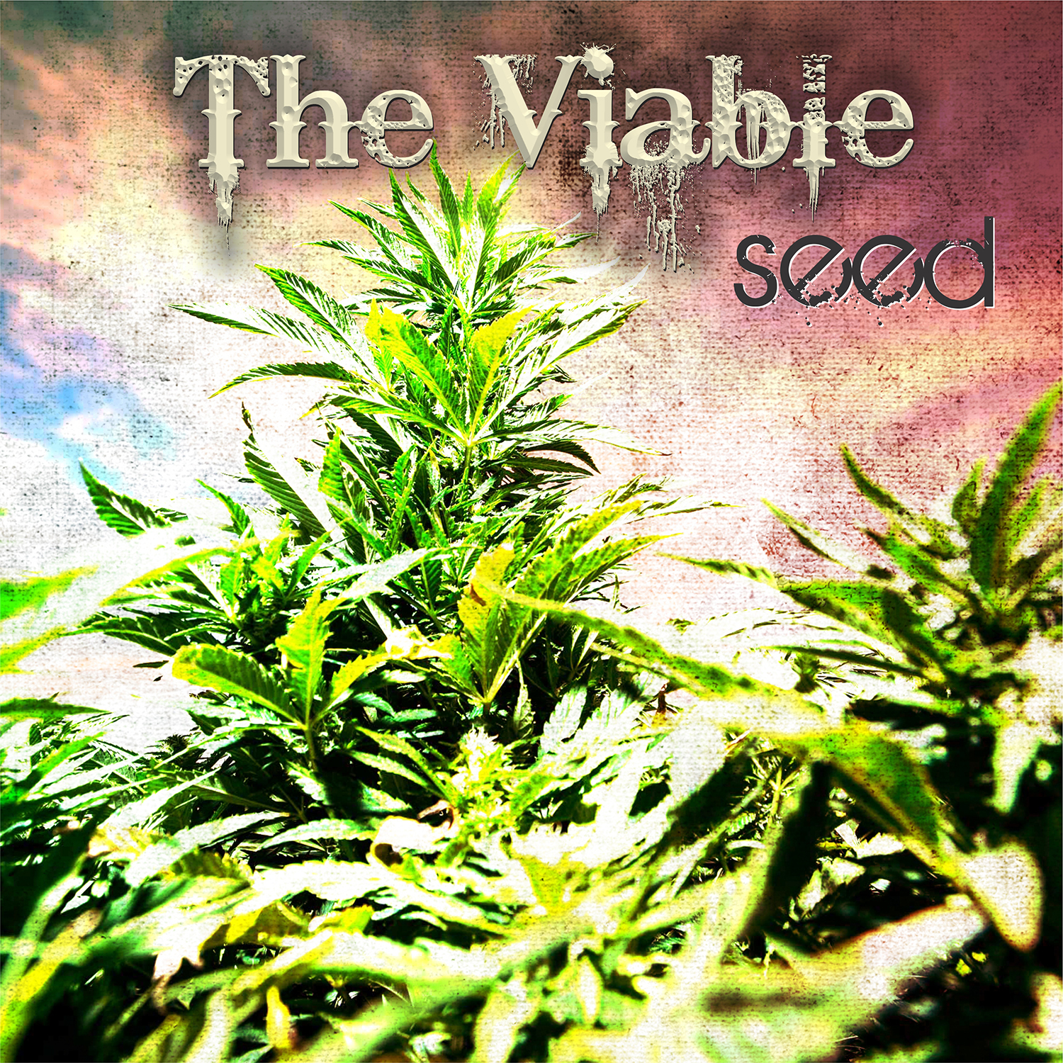 CD Cover Design by alhemique1 for this project | Design #12629869