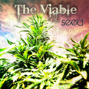 CD Cover Design by alhemique1 for this project | Design: #12629869