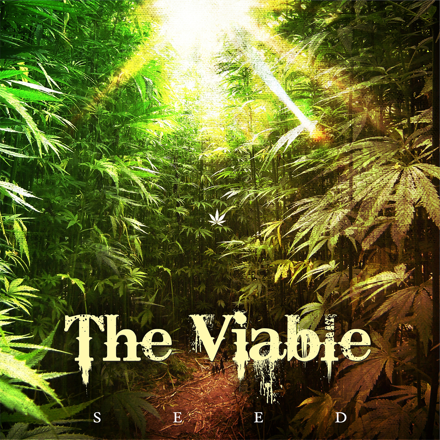 CD Cover Design by alhemique1 for this project | Design #12629872