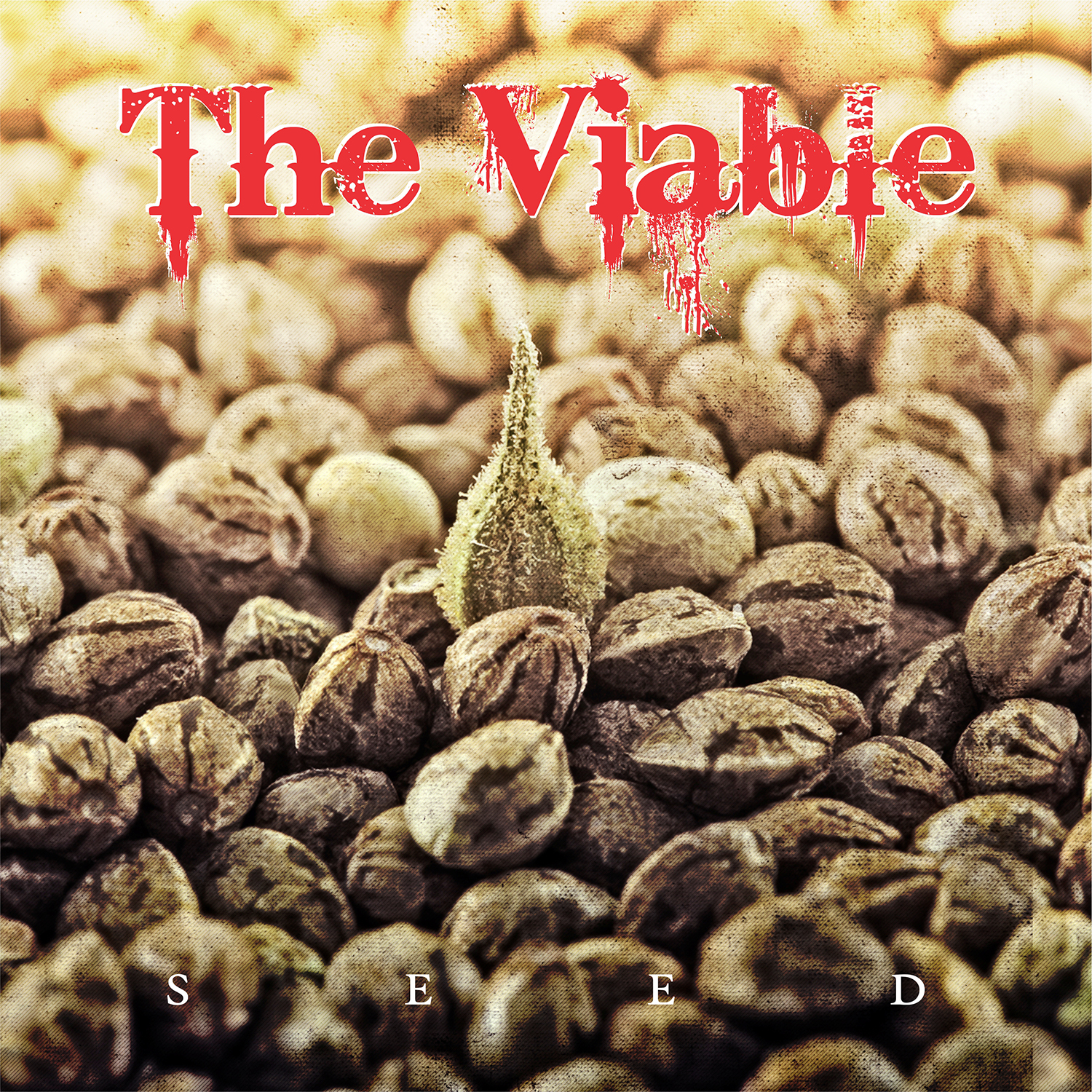 CD Cover Design by alhemique1 for this project | Design #12641499