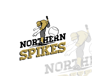Logo Design by Alex Paun