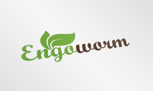Diseño de Logo por shachibelani para este proyecto | Diseño #12786650