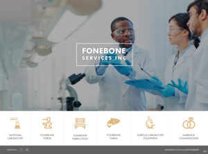 Diseño de Página de Aterrizaje por pb para este proyecto | Diseño: #12666659