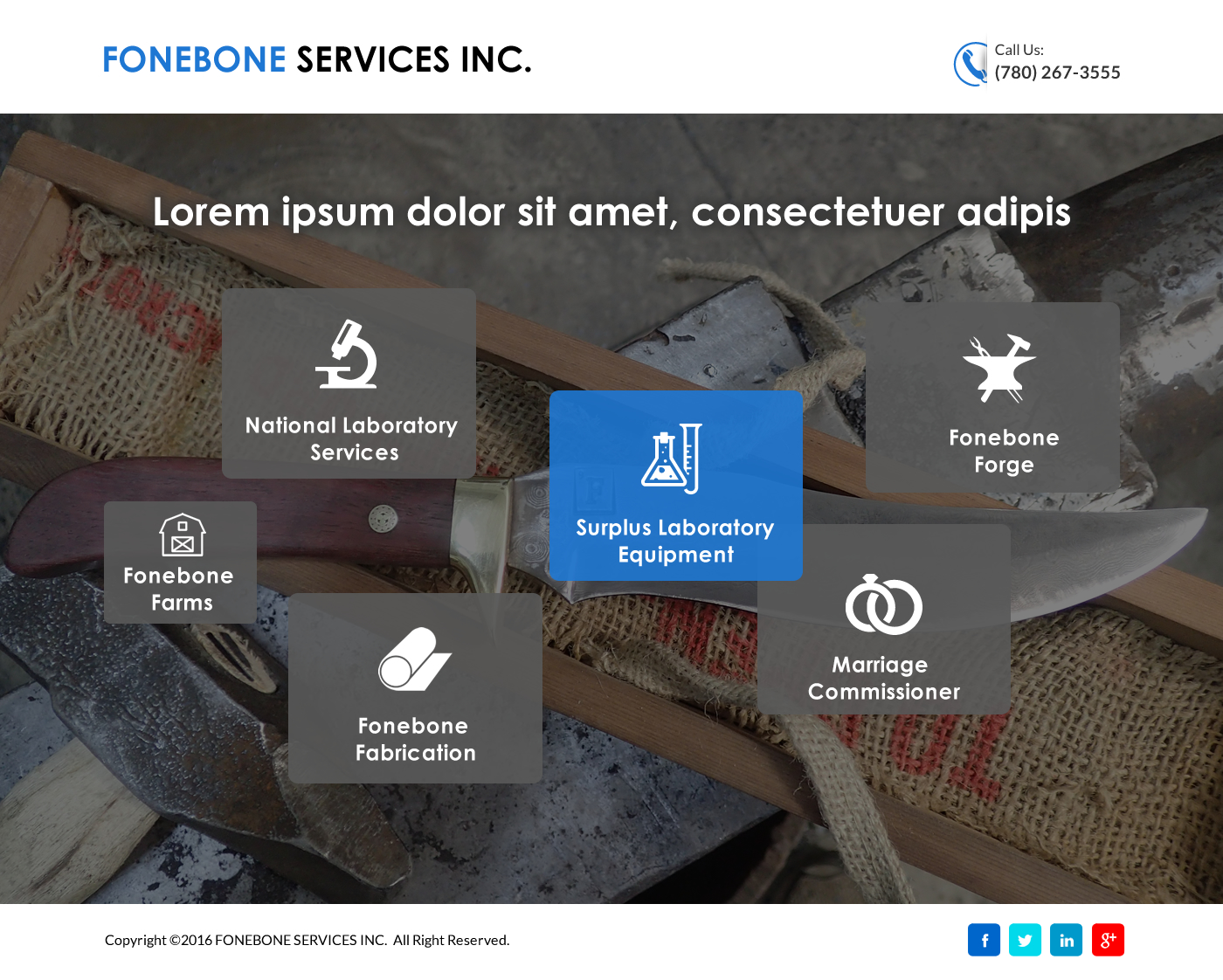 Diseño de Página de Aterrizaje por Sbss para este proyecto | Diseño #12653950