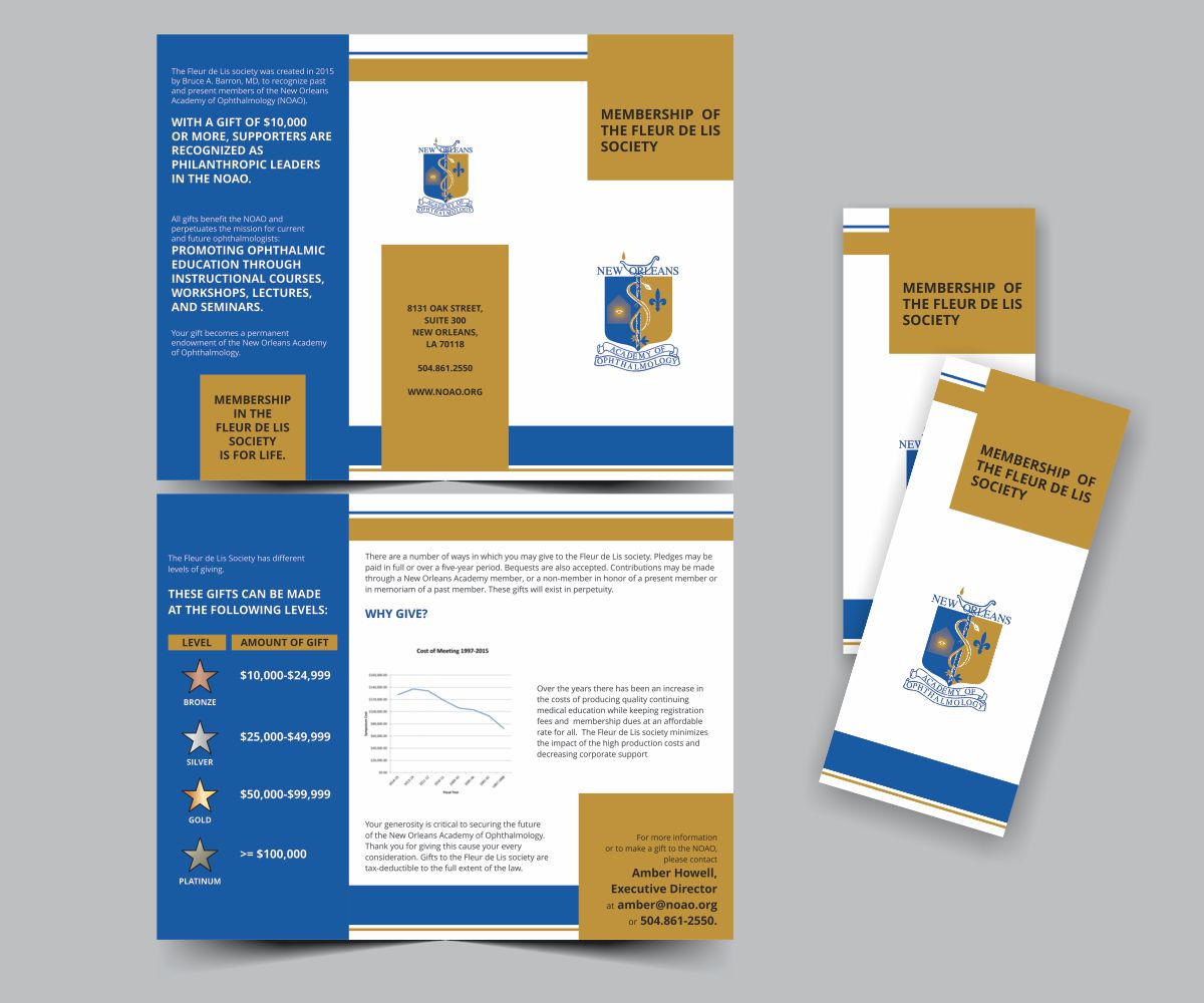 Diseño de Flyer por Cut and Glue para New Orleans Academy of Ophthal | Diseño #12735917