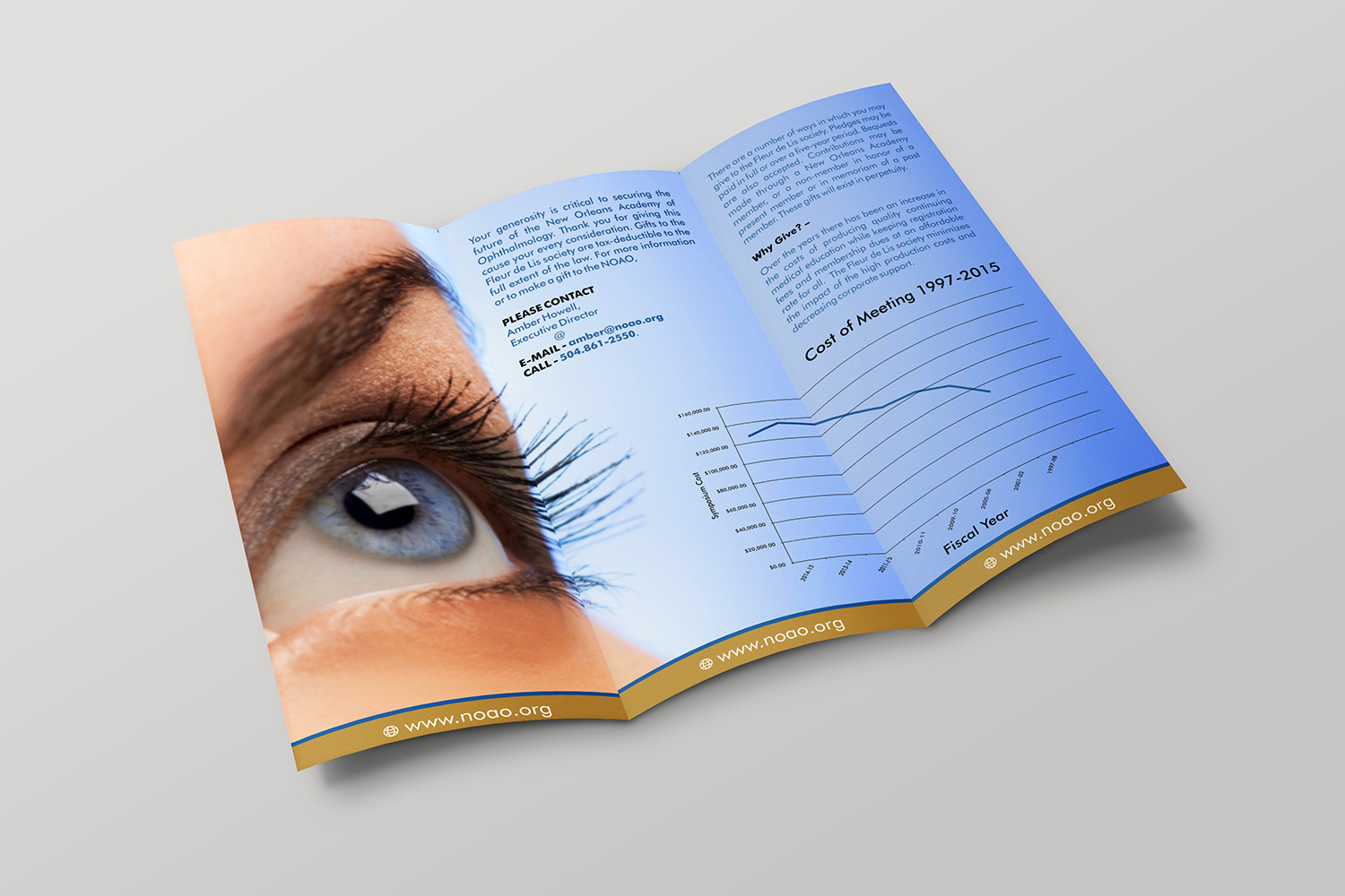 Flyer Design by ecorokerz for New Orleans Academy of Ophthal | Design #12672567