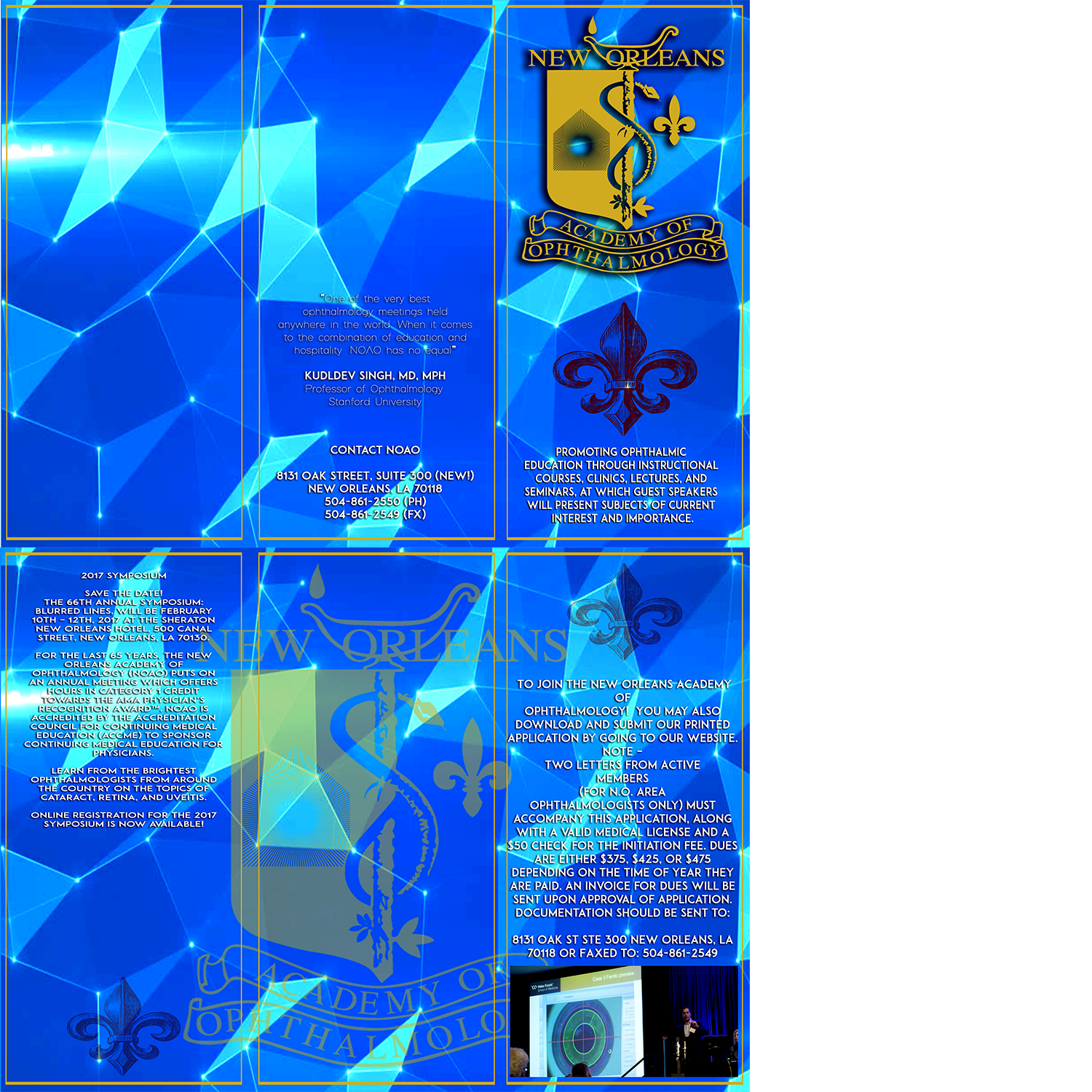 Diseño de Flyer por designguy82 para New Orleans Academy of Ophthal | Diseño #12660086