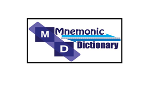 Logo Design by Magmile