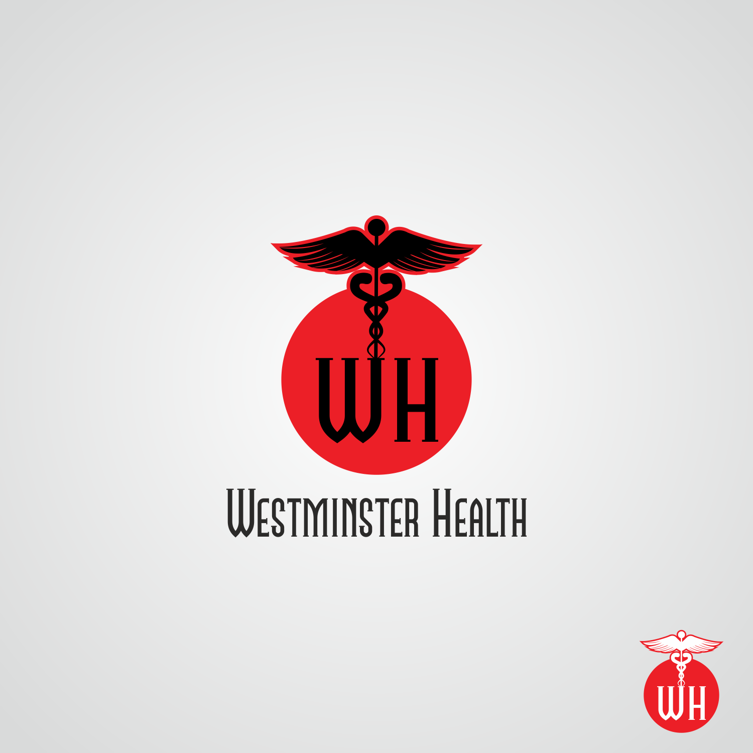 Diseño de Logo por desingman para este proyecto | Diseño #12645077