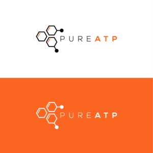 Logo Design by phraimsondesign