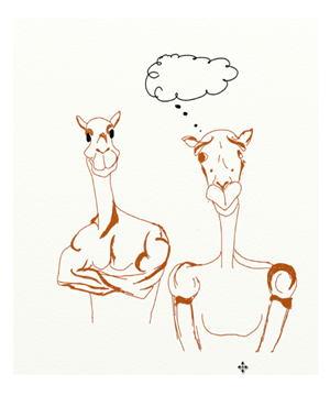 Illustration Design by Gerbera