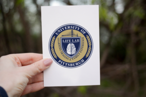 Logo Design by Impressive Sol