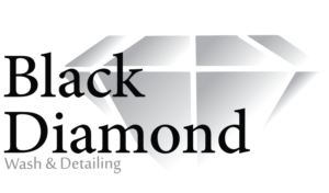 Logo Design by Paige D 