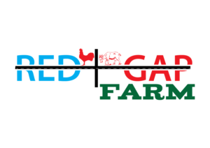 Logo Design by Impressive Sol