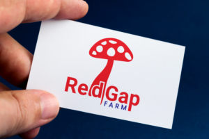Logo Design by Impressive Solutions for this project | Design: #12669285