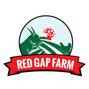 Logo Design by Impressive Solutions for this project | Design: #12674400