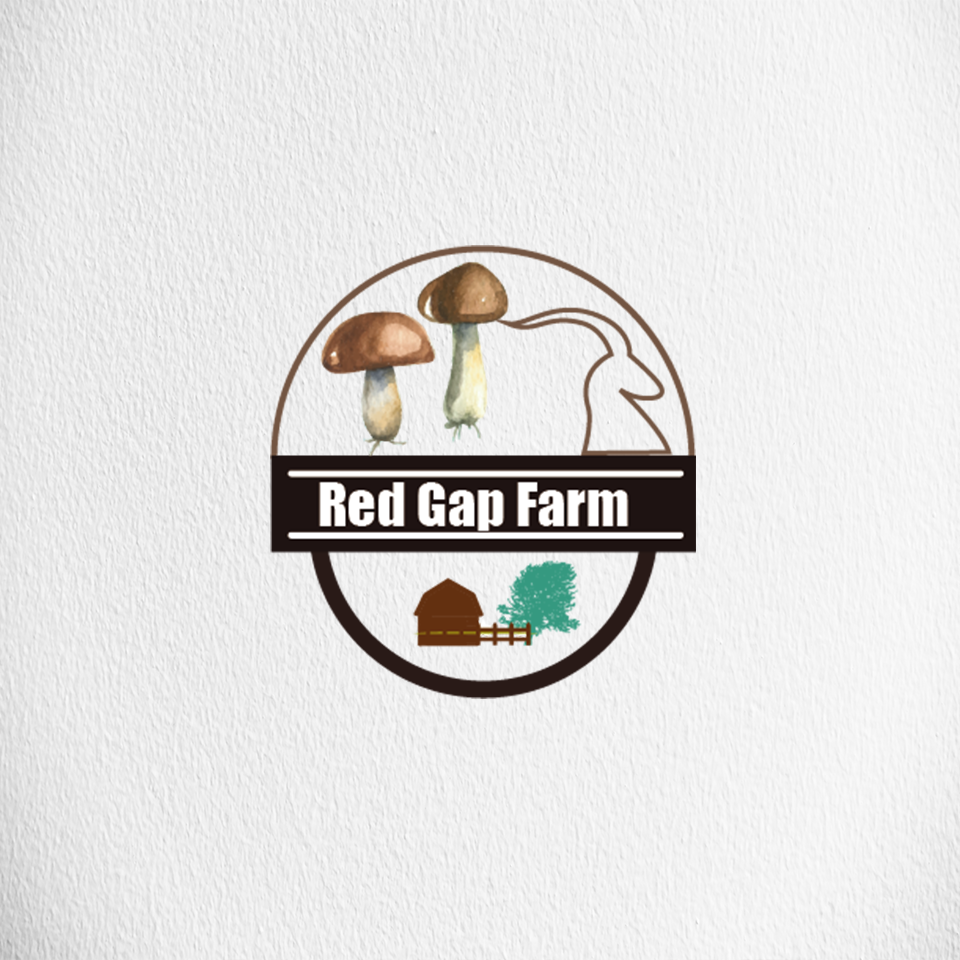 Logo-Design von agim.amir für dieses Projekt | Design #12916611