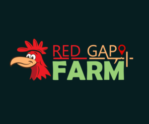 Logo Design by Jam Ace