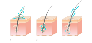 Infographic Design by nail5657
