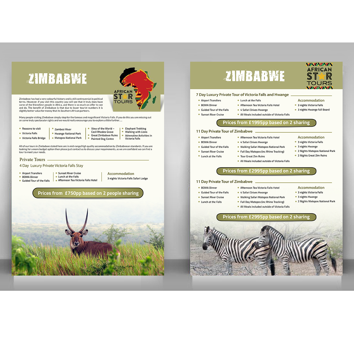Brochure Design by creative.bugs for this project | Design #12705652