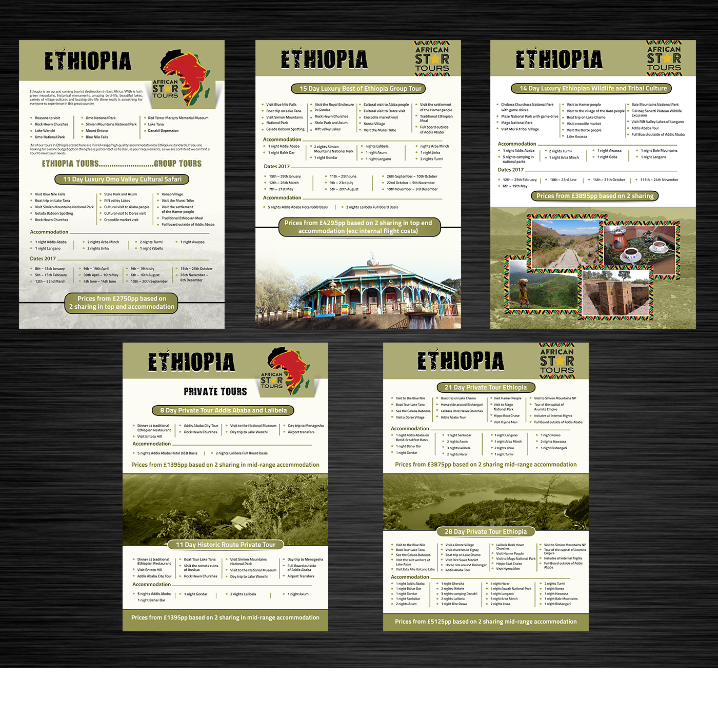 Brochure Design by creative.bugs for this project | Design #12759584