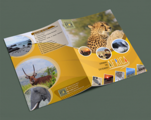 Brochure Design by SAI DESIGNS