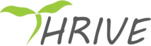 Logo Design by serefercelik