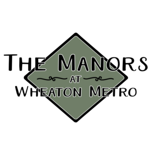 Logo Design by Darklanser