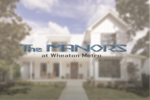 Logo Design by Owleria