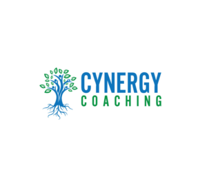Logo Design by Raida jian