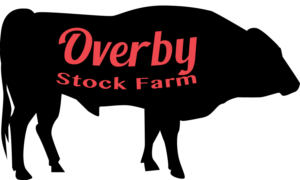 Logo Design by thoroner