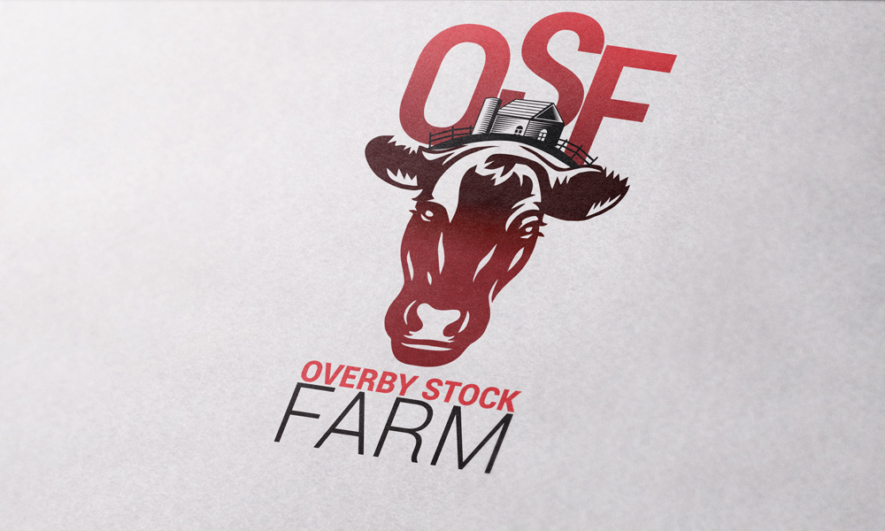 Diseño de Logo por boumlalali para este proyecto | Diseño #12778789