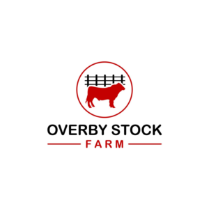 Logo Design by snorayr