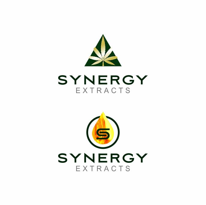 Logo Design by pa2pat for Synergy of nature | Design #12687751
