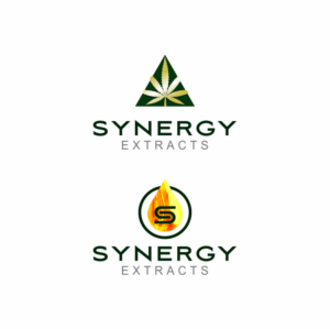 Logo Design by pa2pat for Synergy of nature | Design #12687751