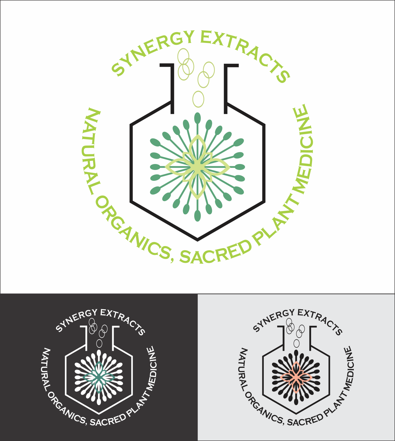 Logo Design by sanigka for Synergy of nature | Design #12690623