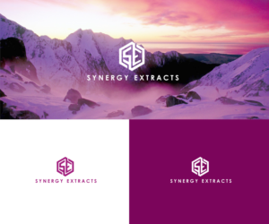 Logo Design by EA Designs for Synergy of nature | Design: #12709663