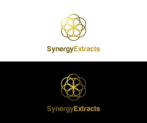 Logo Design by AisRafa.com for Synergy of nature | Design #12698352