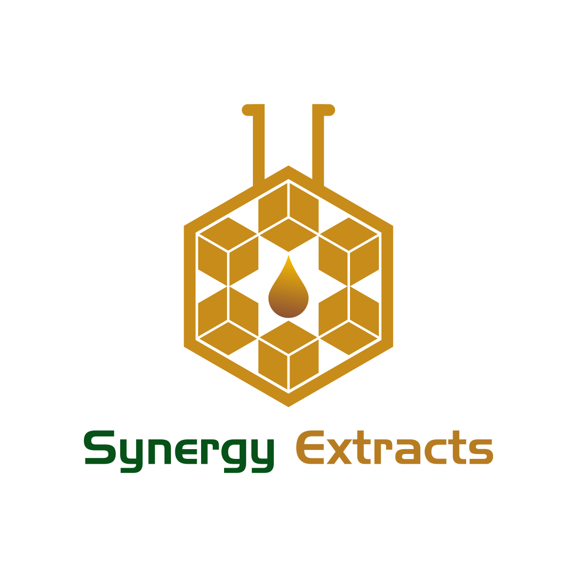 Logo Design by azzam90 for Synergy of nature | Design #12699298