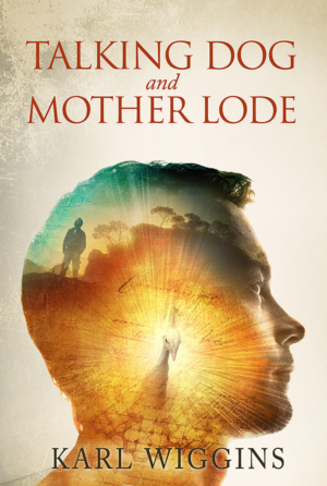 Book cover for 