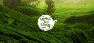 Logo Design by mounim1024 for this project | Design: #12697345