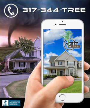 Print Design by Krypton Designer for this project | Design: #12812256