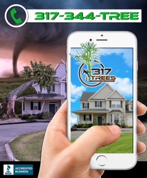 Print Design by Krypton Designer for this project | Design: #12812480