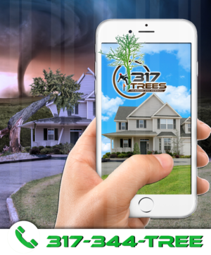 Print Design by Krypton Designer for this project | Design: #12821261