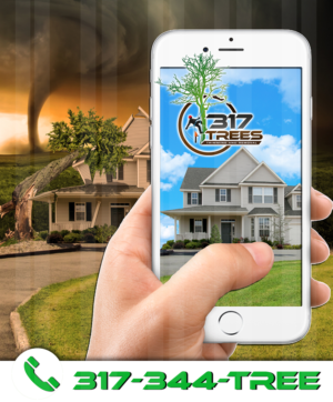 Print Design by Krypton Designer for this project | Design: #12821262