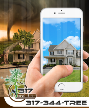 Print Design by Krypton Designer for this project | Design: #12821263